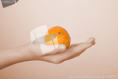 Image of Tangerine on a children's palm