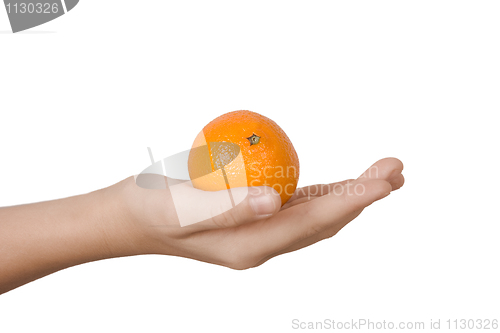 Image of Tangerine