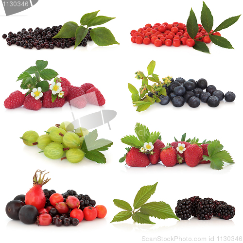 Image of Berry Fruit Sampler