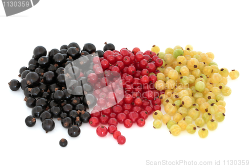 Image of Berry Fruit