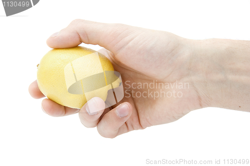 Image of Yellow lemon in a hand