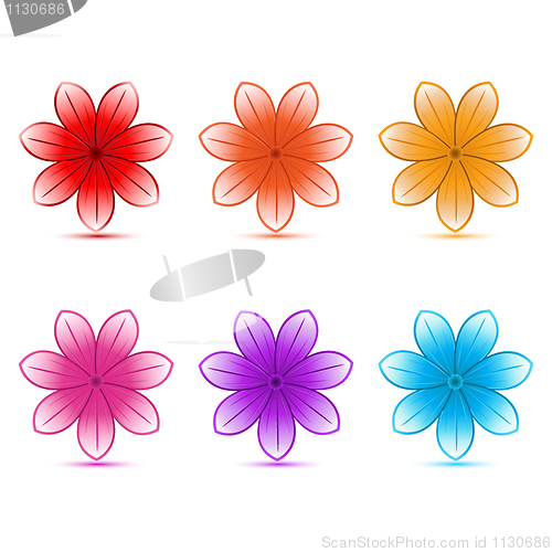 Image of colorful flowers