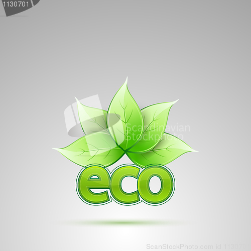 Image of eco with leaves