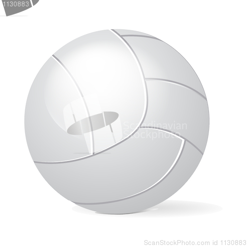 Image of volley ball