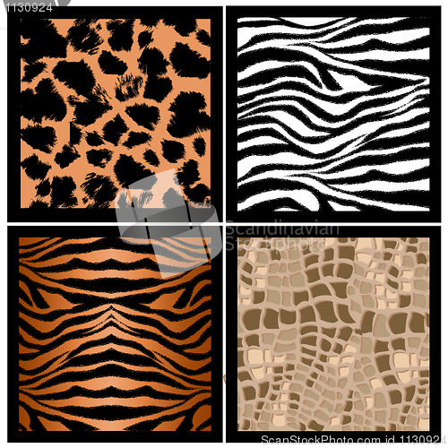 Image of animal skin texture