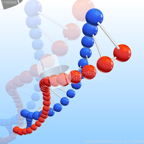 Image of dna