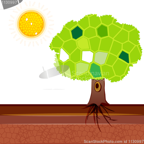 Image of natural tree with sun
