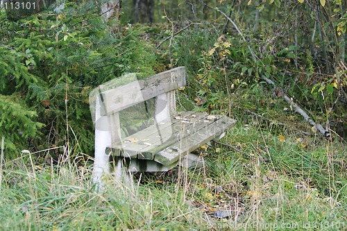 Image of Bench