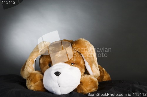 Image of Plush Dog