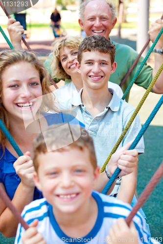 Image of image of Portrait of a happy family swinging in a line