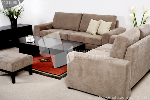 Image of Classic furniture in a modern living room