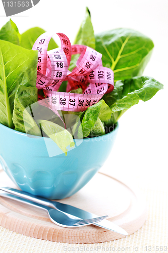 Image of bowl of lettuce