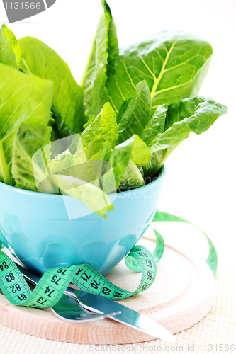 Image of bowl of lettuce