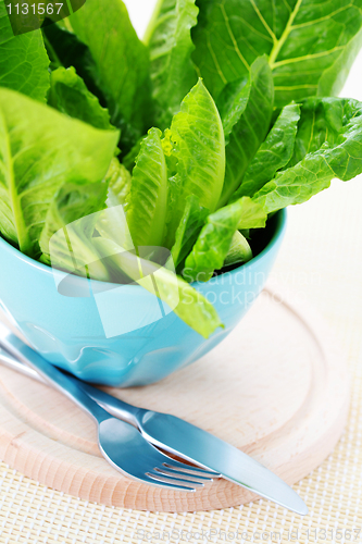 Image of bowl of lettuce