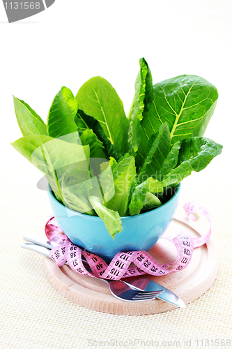 Image of bowl of lettuce