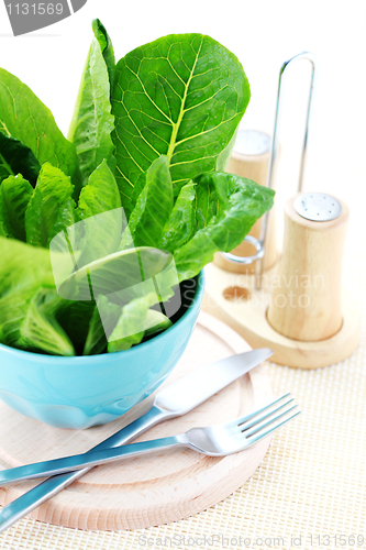 Image of bowl of lettuce