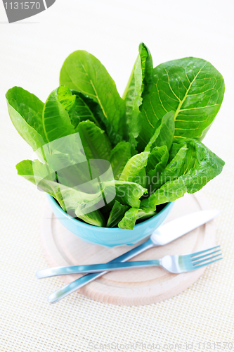 Image of bowl of lettuce