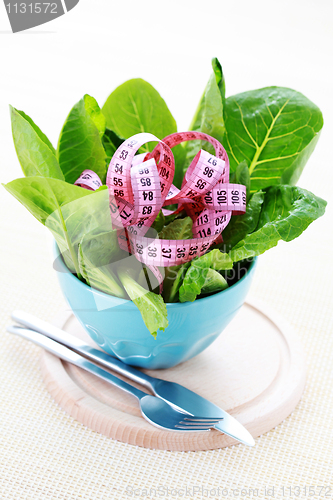 Image of bowl of lettuce