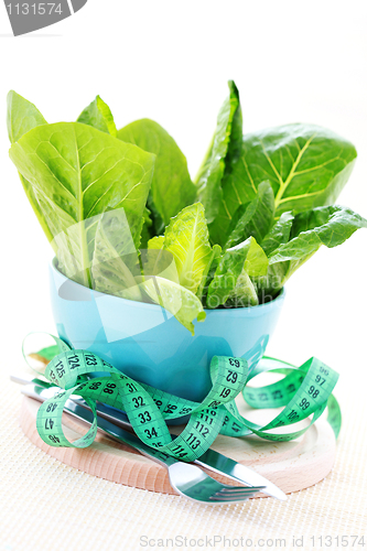 Image of bowl of lettuce