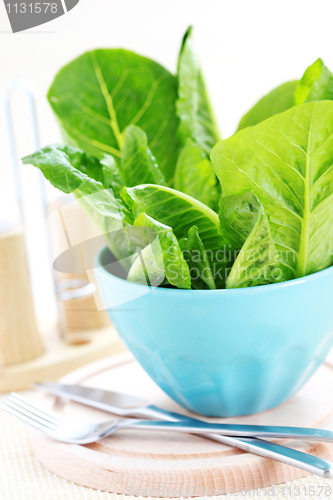 Image of bowl of lettuce