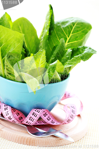 Image of bowl of lettuce