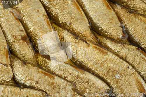 Image of Abstract background: conserved sprat fish in oil