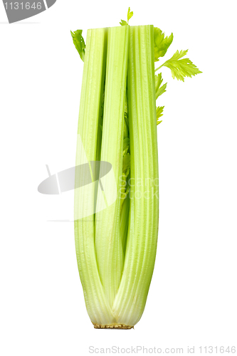 Image of Bunch of celery sticks