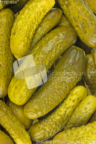 Image of Marinated cornichones