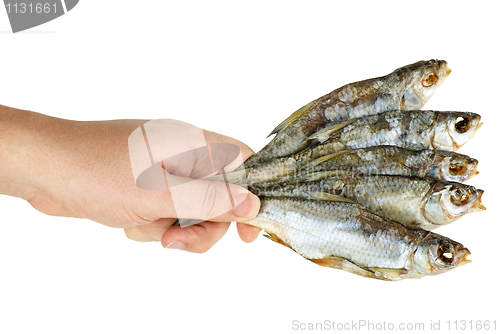 Image of Hand hold few salted dried fishes