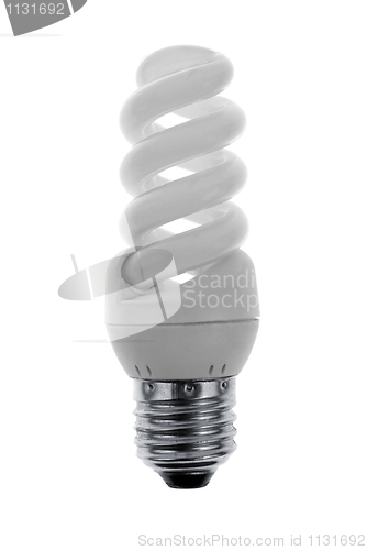 Image of Spare light bulbs