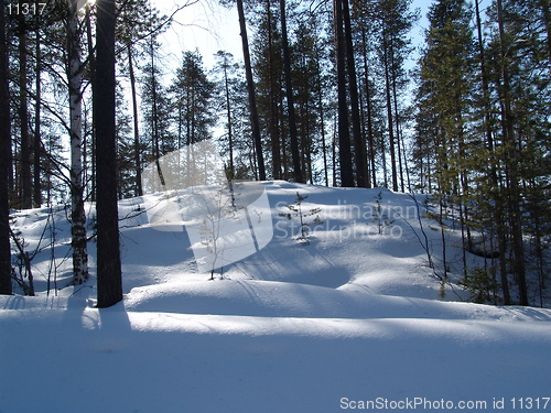 Image of Karelian, March