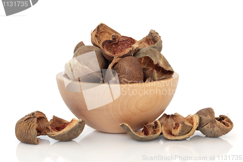 Image of Areca Nut Peel