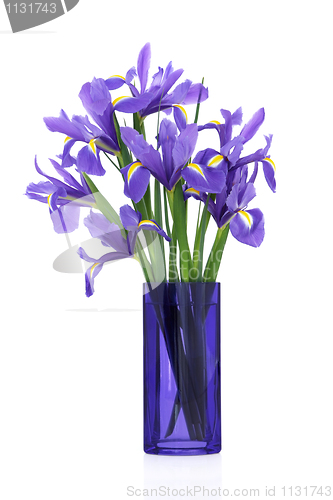Image of Iris Flower Beauty