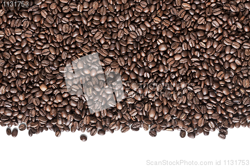 Image of Coffee beans on white Background