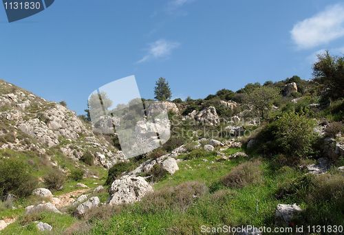 Image of Rocky valley among green hills 