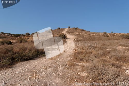 Image of Countryside road to the top of yellow autumn hill