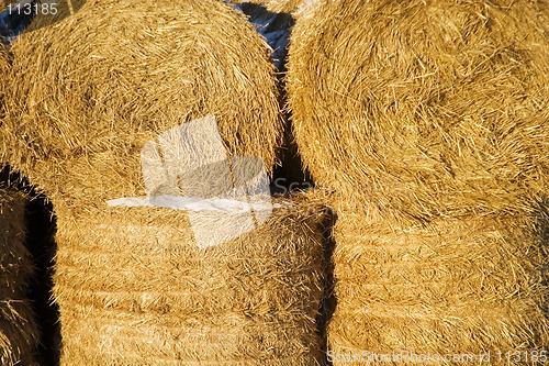 Image of Straw Bale