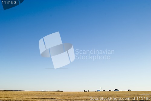 Image of Prairie Yard