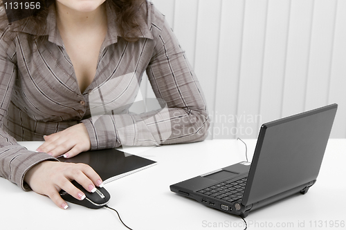 Image of The young business woman at office