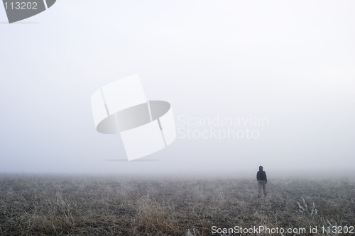 Image of Fog Walk