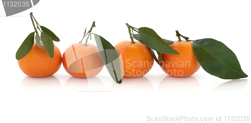 Image of Mandarin Orange Fruit