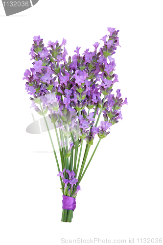 Image of Lavender Herb Flower Posy