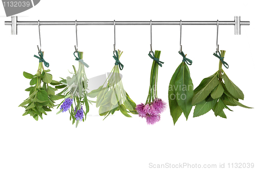 Image of Drying Herb Bunches  