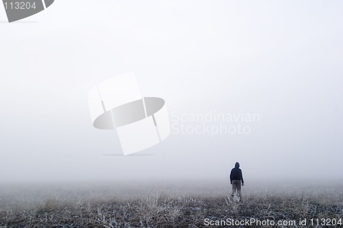 Image of Fog Walk