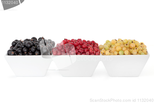 Image of Summer Fruit 