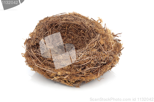 Image of Bird Nest