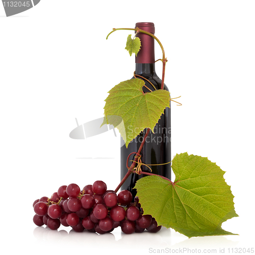 Image of Red Wine and Grape Vine
