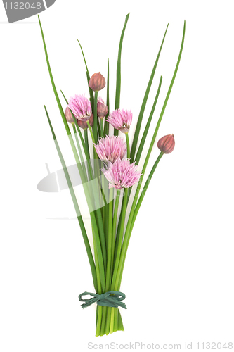 Image of Chives Herb Flower Posy