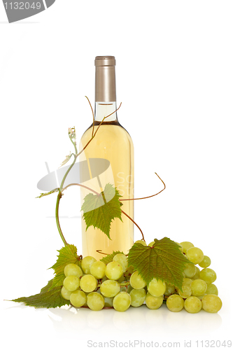 Image of White Wine with Grape Vine