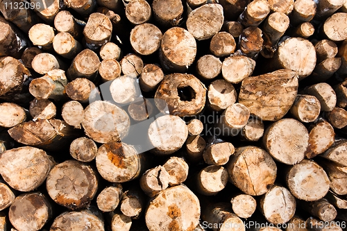 Image of Texture of wooden logs piled up